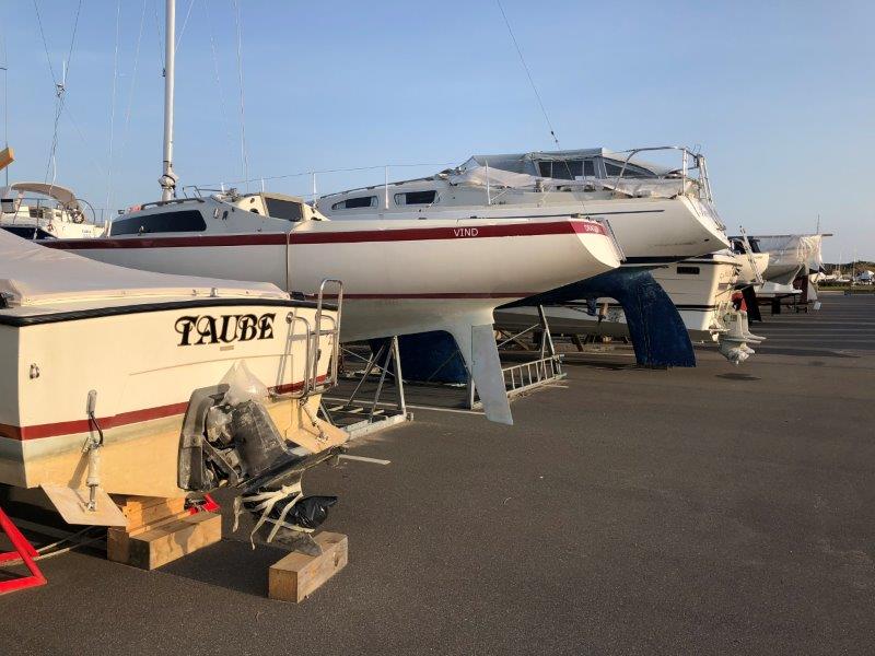 Ubudne Gæster På Havnen Pas På Din Båd Amagernyt 